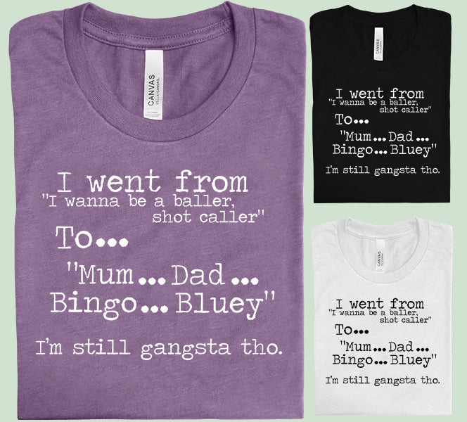 I Went From I Wanna Be a Baller Shot Caller Graphic Tee