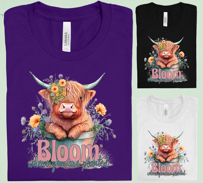 Bloom Where You Are Planted Graphic Tee Graphic Tee