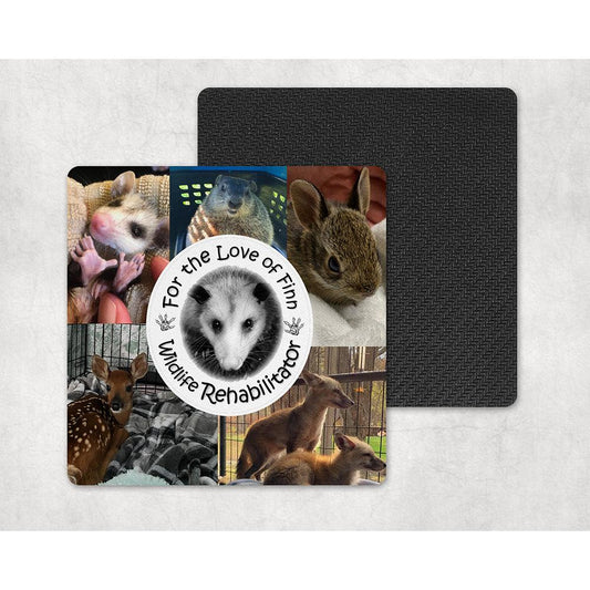 For The Love Of Finn Set 4 Coasters Coaster