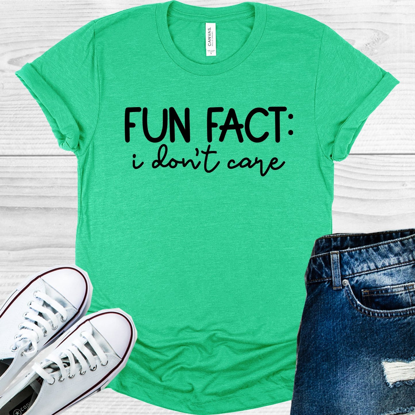 Fun Fact I Dont Care Graphic Tee Graphic Tee