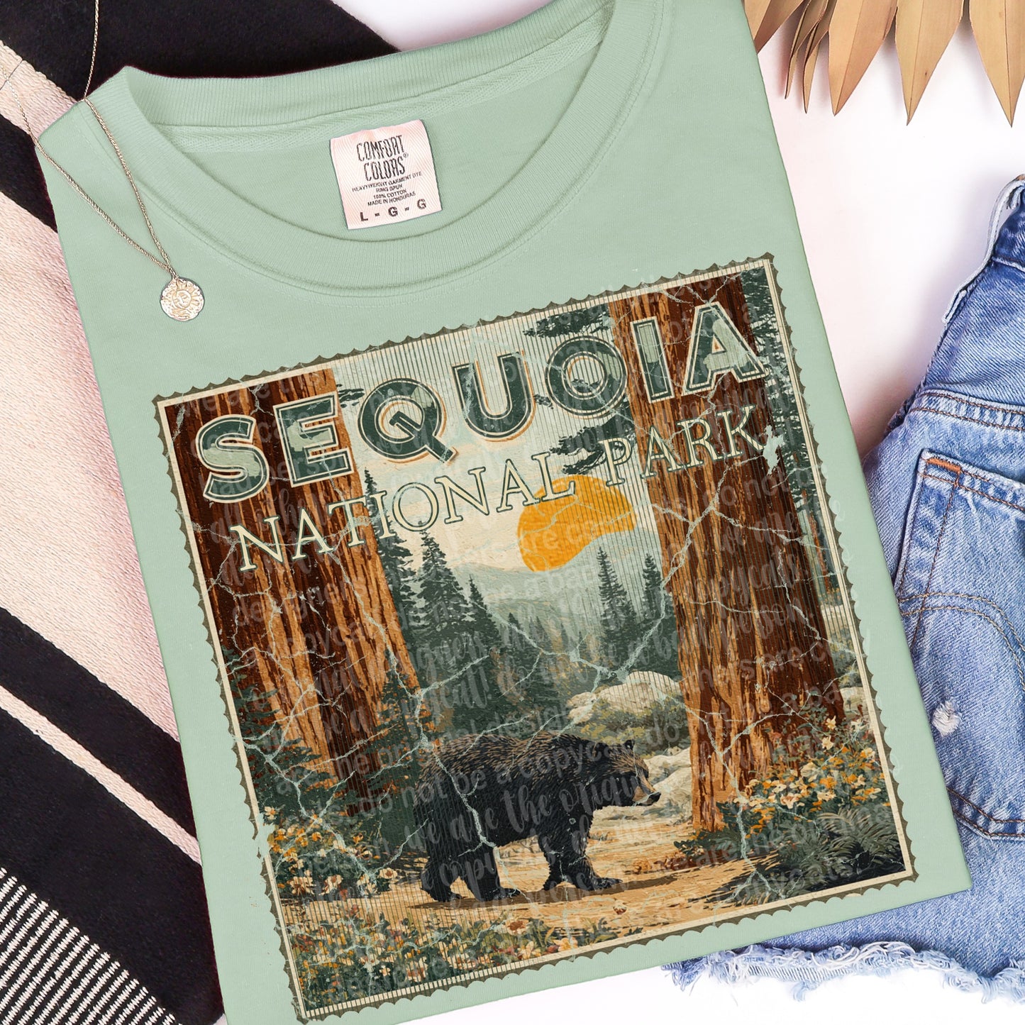 Sequoia National Park Graphic Tee