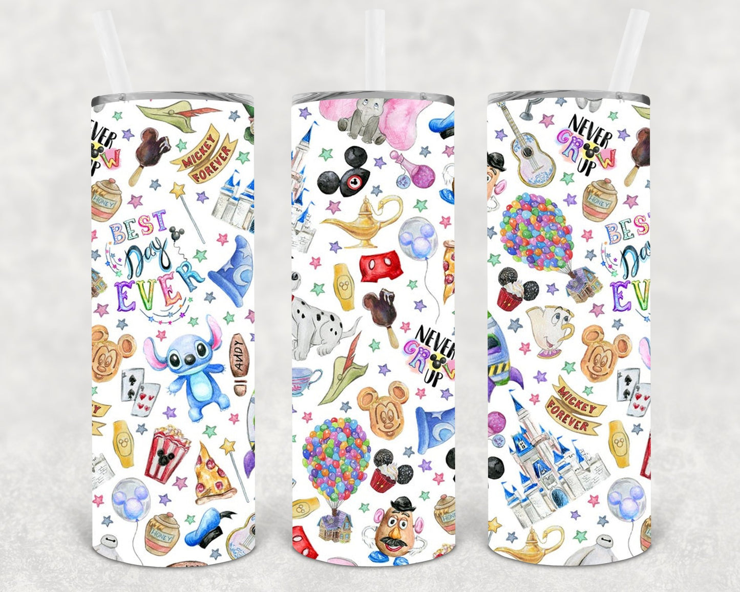 Magic Kingdom 20 Oz Skinny Tumbler