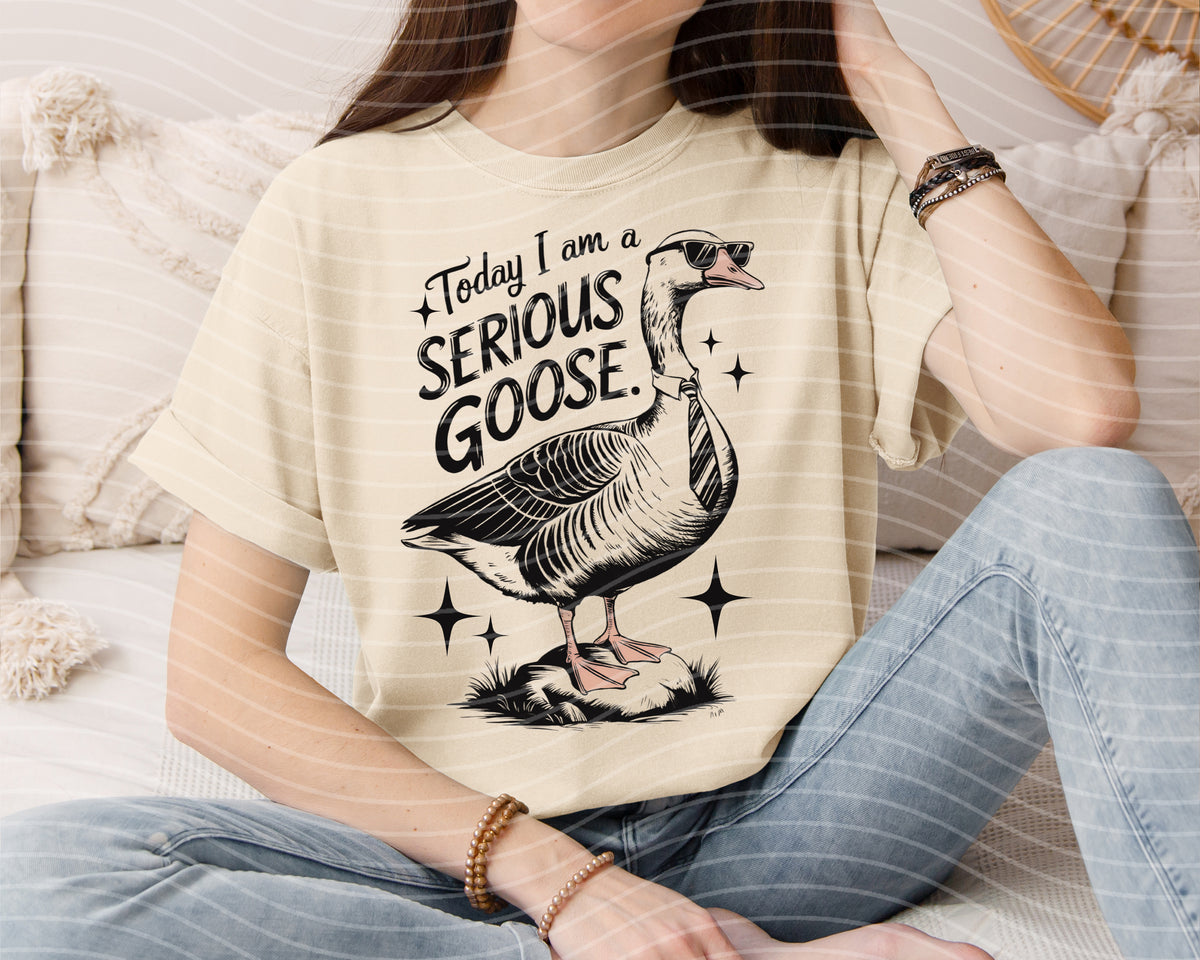 Today I am a Serious Goose Graphic Tee