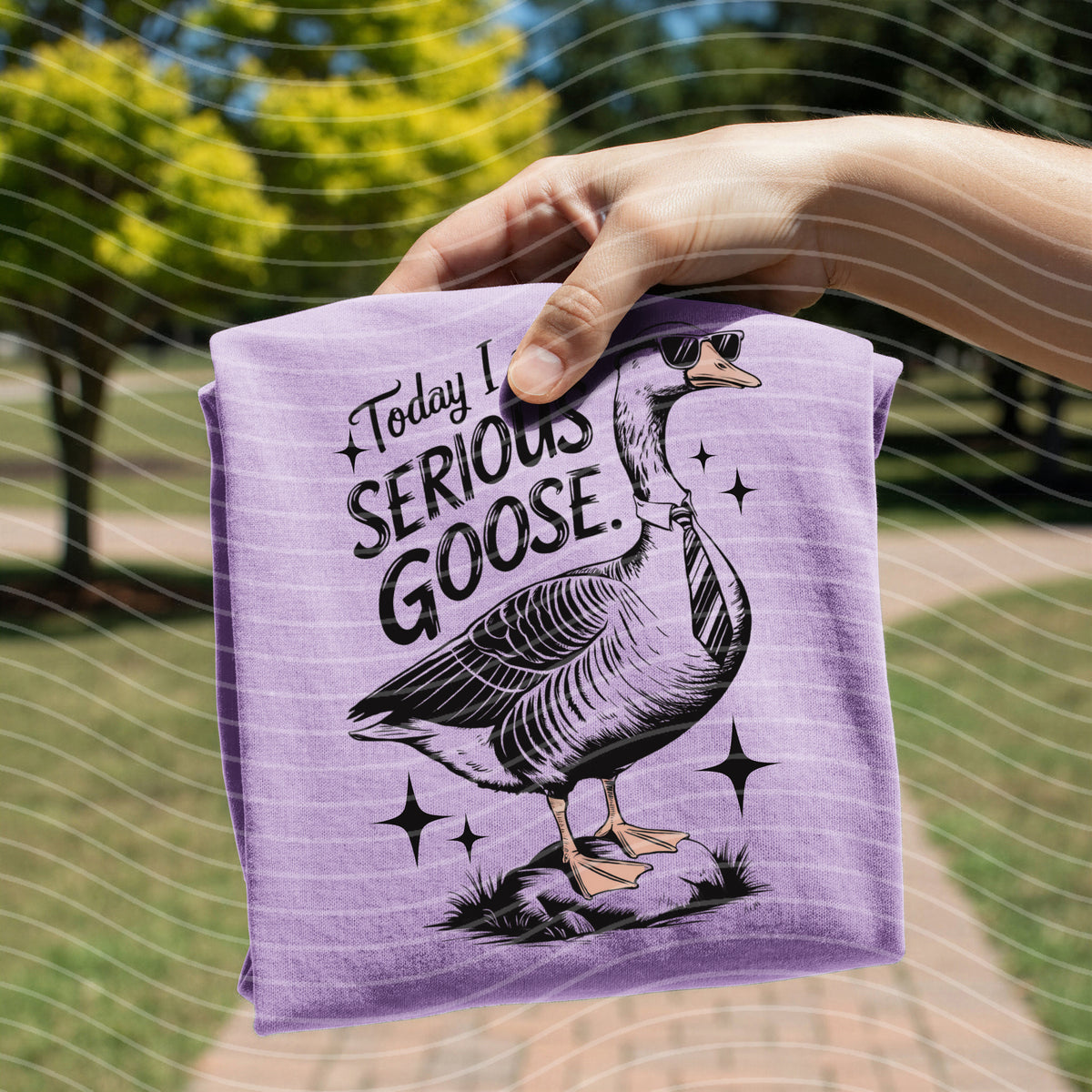 Today I am a Serious Goose Graphic Tee