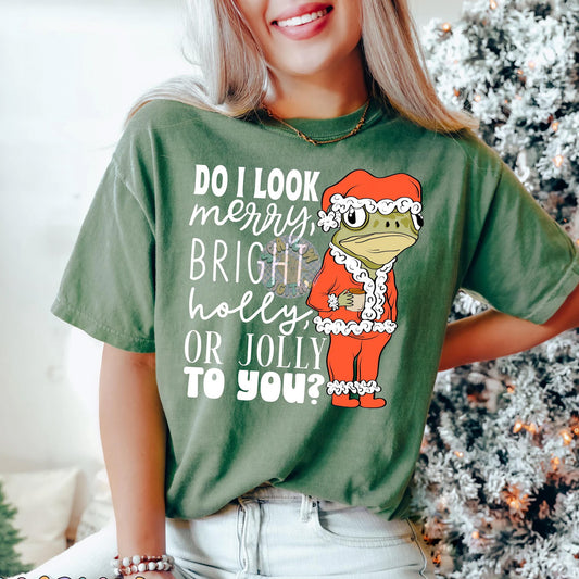 Do I Look Merry Bright Holly or Jolly to You Graphic Tee