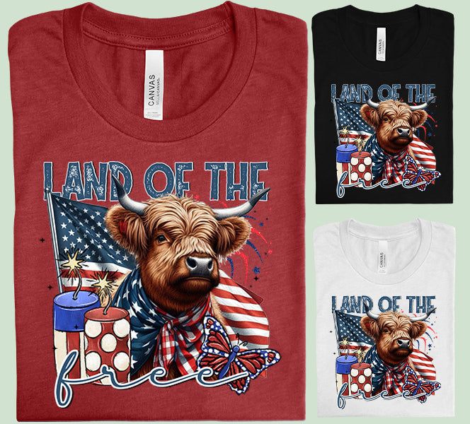 Land of the Free Graphic Tee