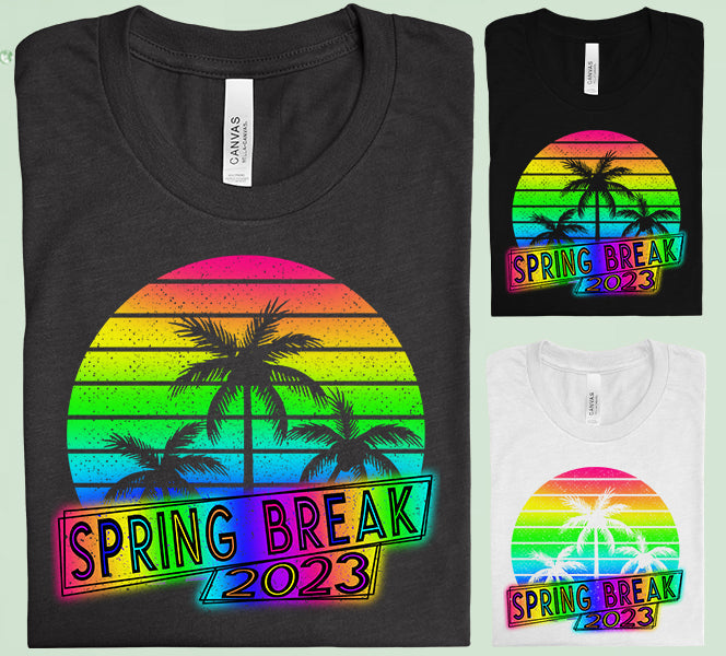 Spring Break 2023 Graphic Tee Graphic Tee