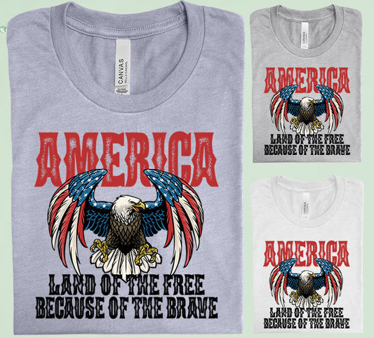 America Land Of The Free Because Brave Graphic Tee Graphic Tee