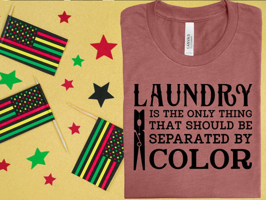 Laundry Is The Only Thing That Should Be Separated By Color Graphic Tee Graphic Tee