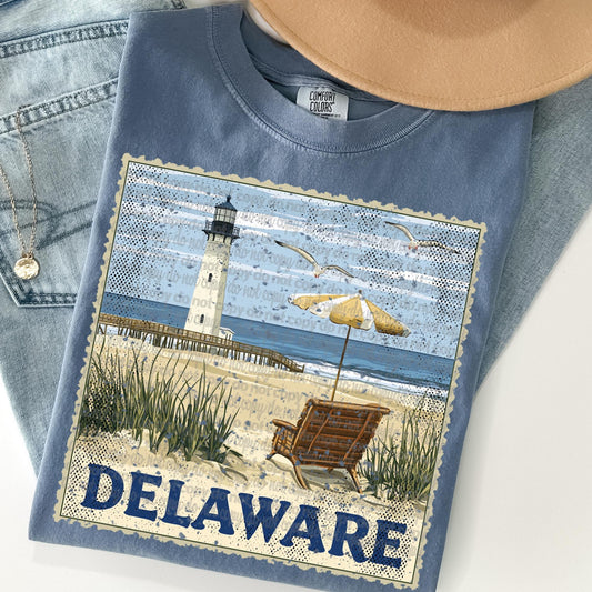 Delaware Graphic Tee