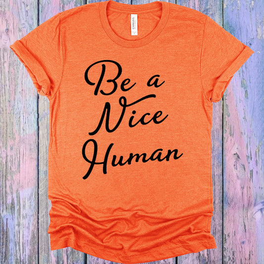Be A Nice Human Graphic Tee Graphic Tee