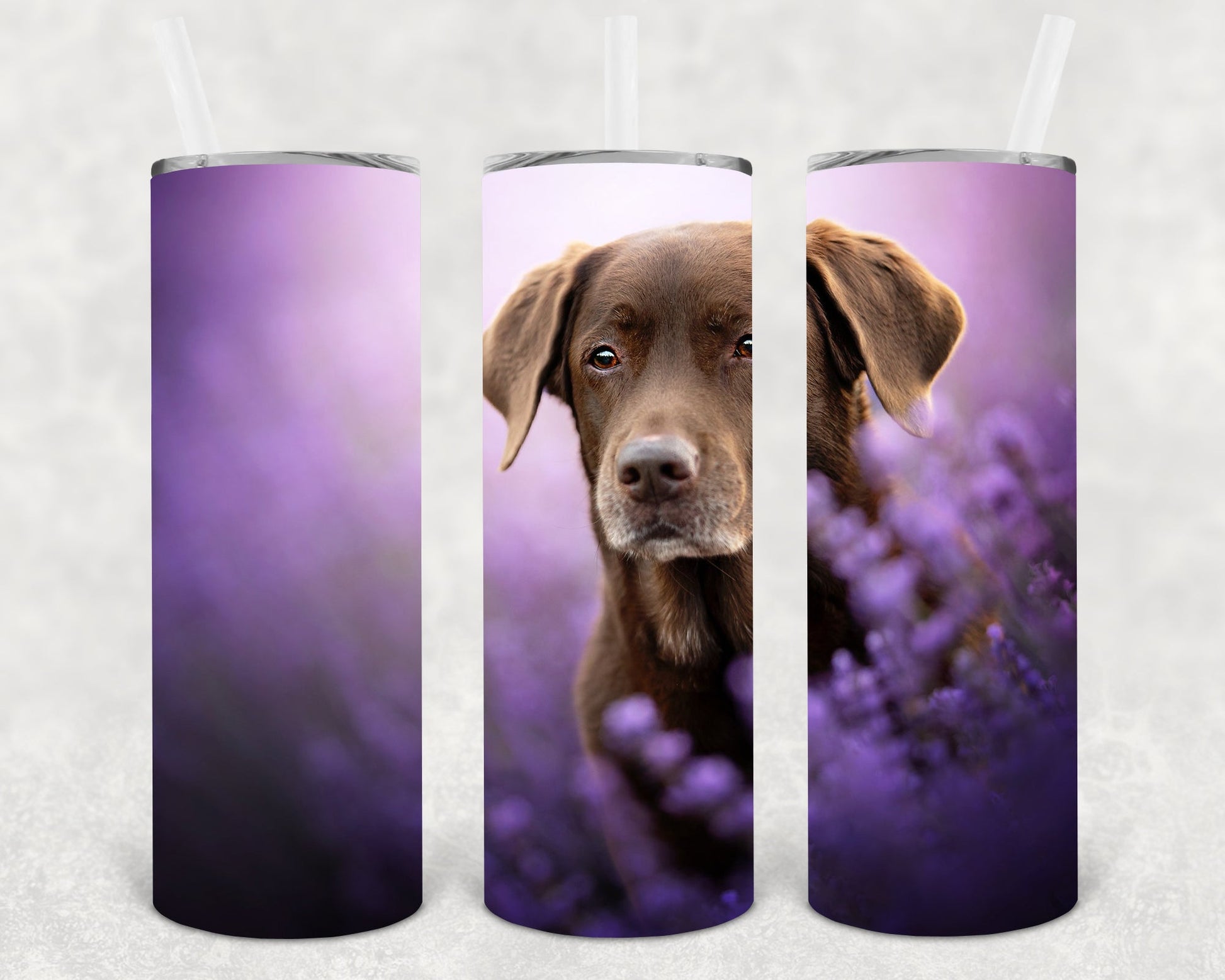 Chocolate Lab 20 Oz Skinny Tumbler