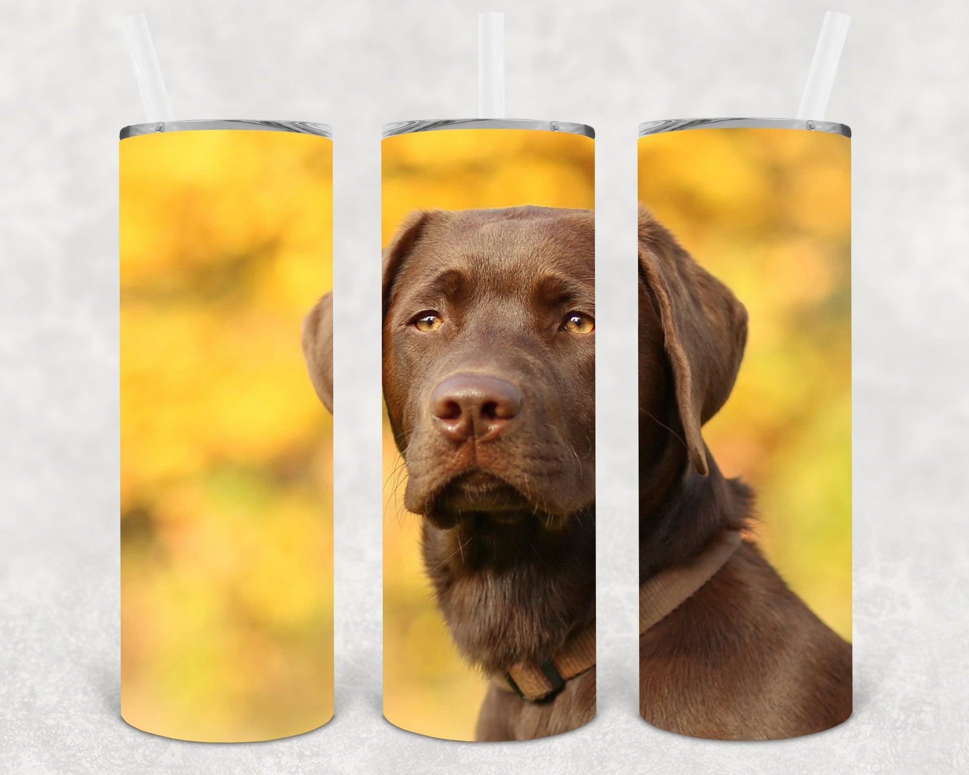 Chocolate Lab 20 Oz Skinny Tumbler