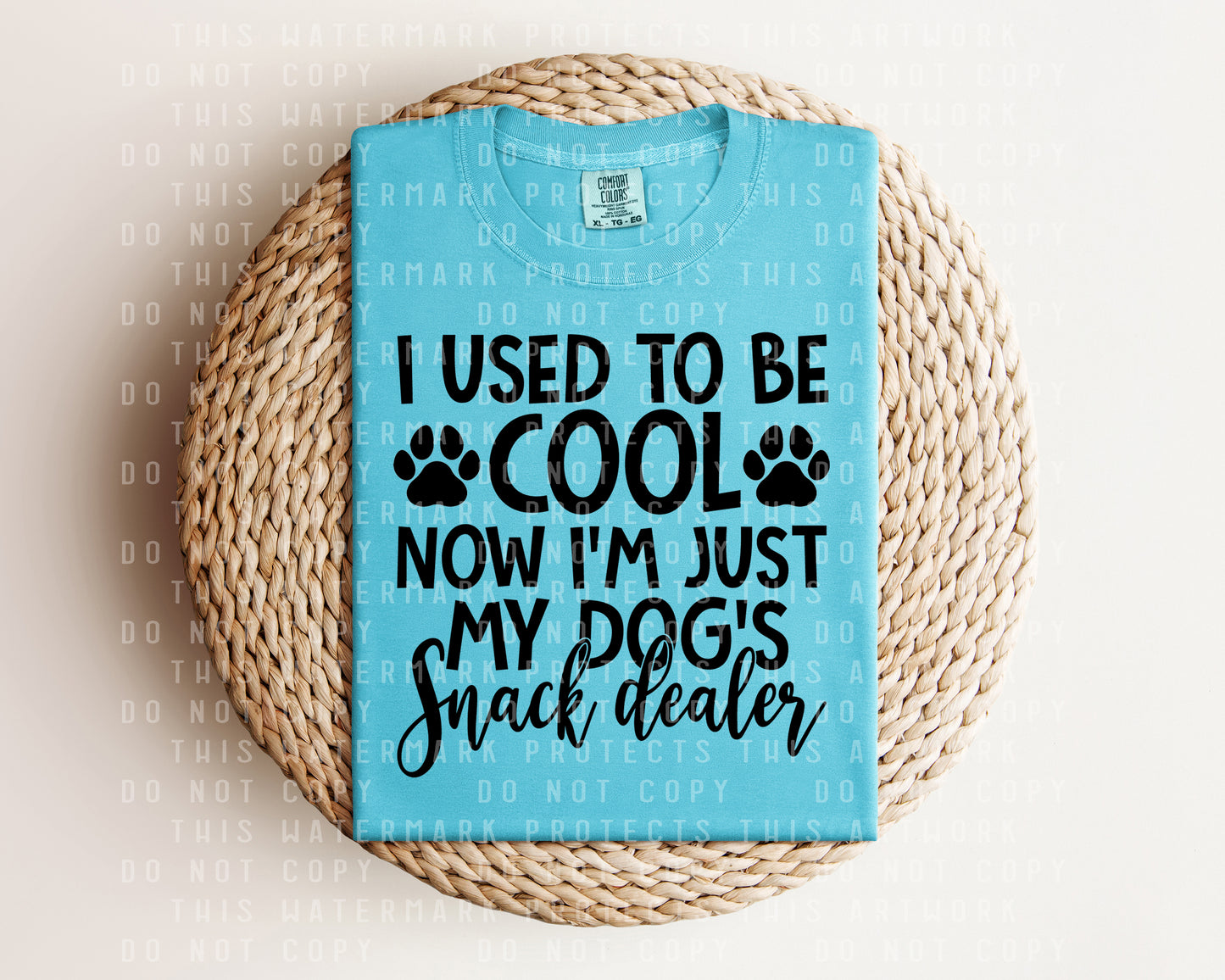 I Used to Be Cool Now I'm Just My Dog's Snack Dealer Graphic Tee