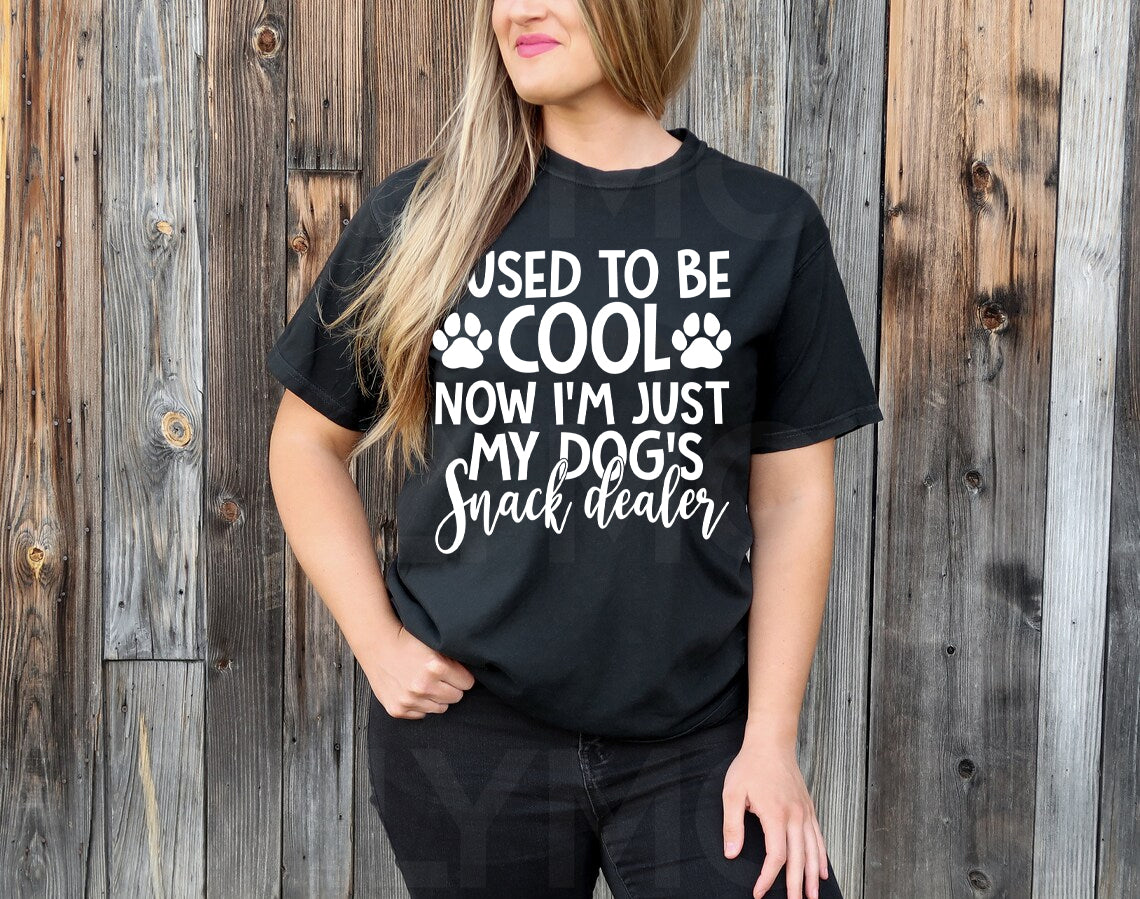 I Used to Be Cool Now I'm Just My Dog's Snack Dealer Graphic Tee