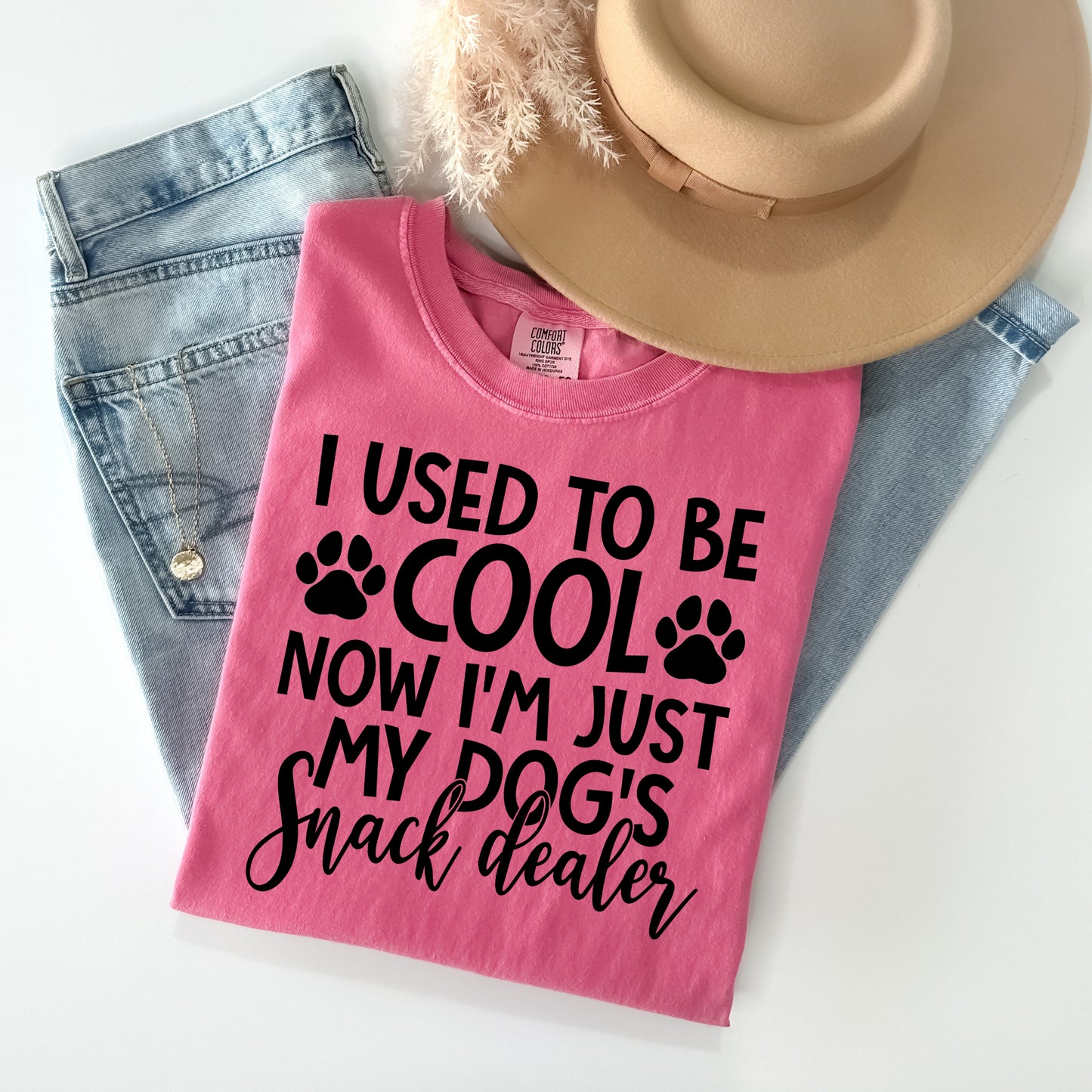 I Used to Be Cool Now I'm Just My Dog's Snack Dealer Graphic Tee