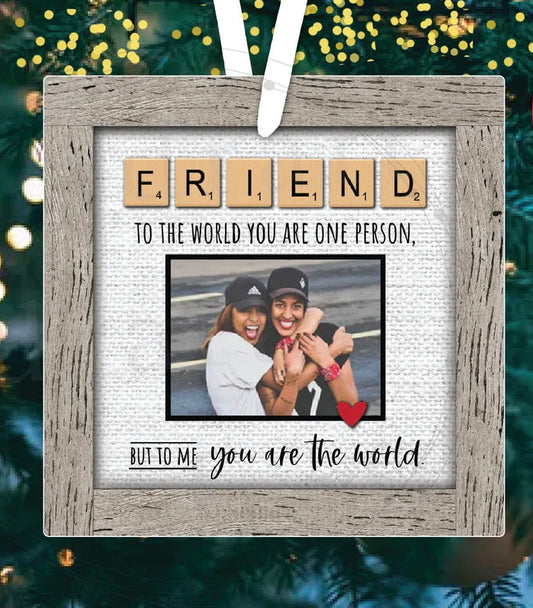 Friend To The World You Are One Person Christmas Ornament