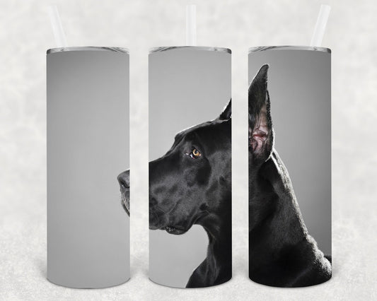 Great Dane 20 Oz Skinny Tumbler