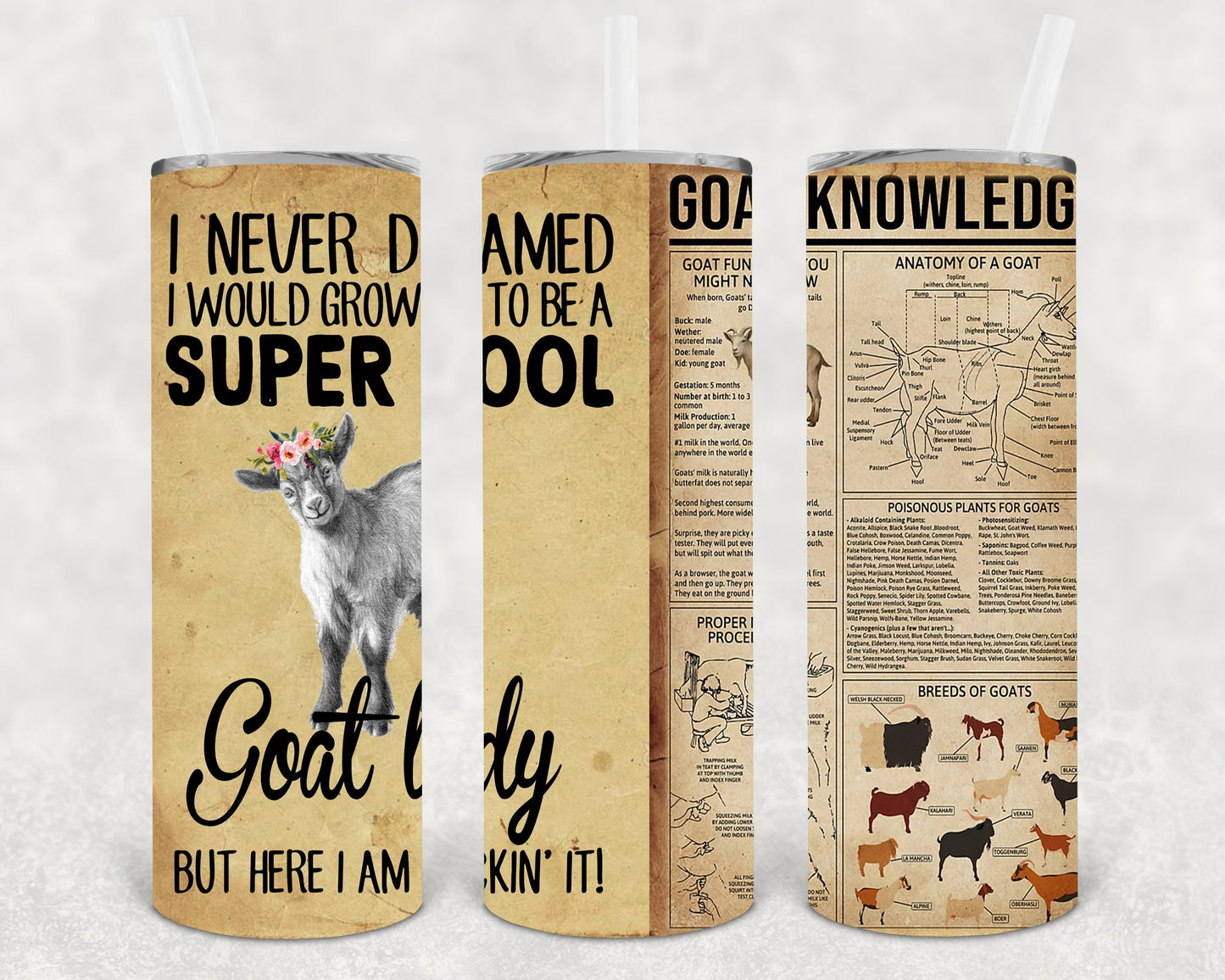 I Never Dreamed Would Grow Up To Be A Super Cool Goat Lady But Here Am Rockin It 20 Oz Skinny