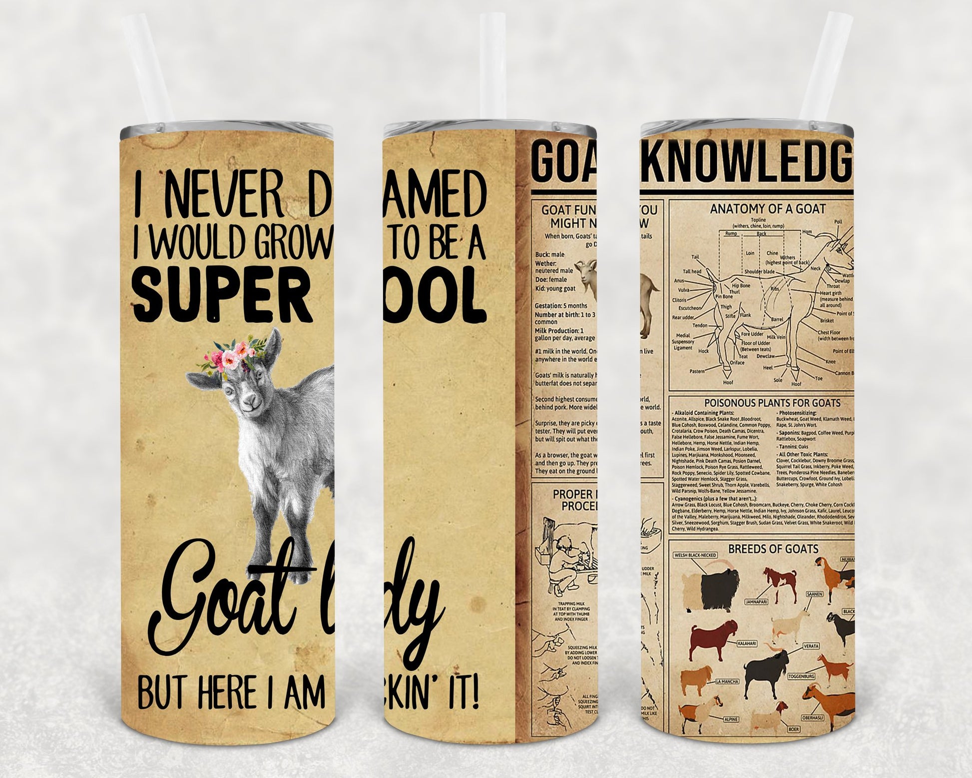 I Never Dreamed Would Grow Up To Be A Super Cool Goat Lady But Here Am Rockin It 20 Oz Skinny