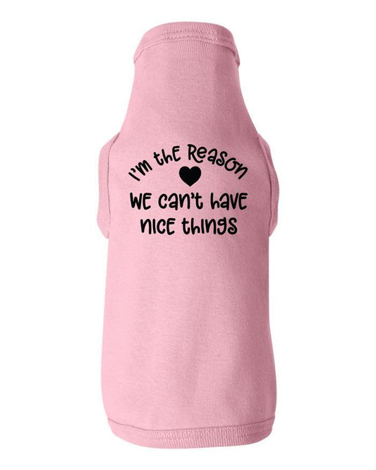 Im The Reason We Cant Have Nice Things Dog Shirt