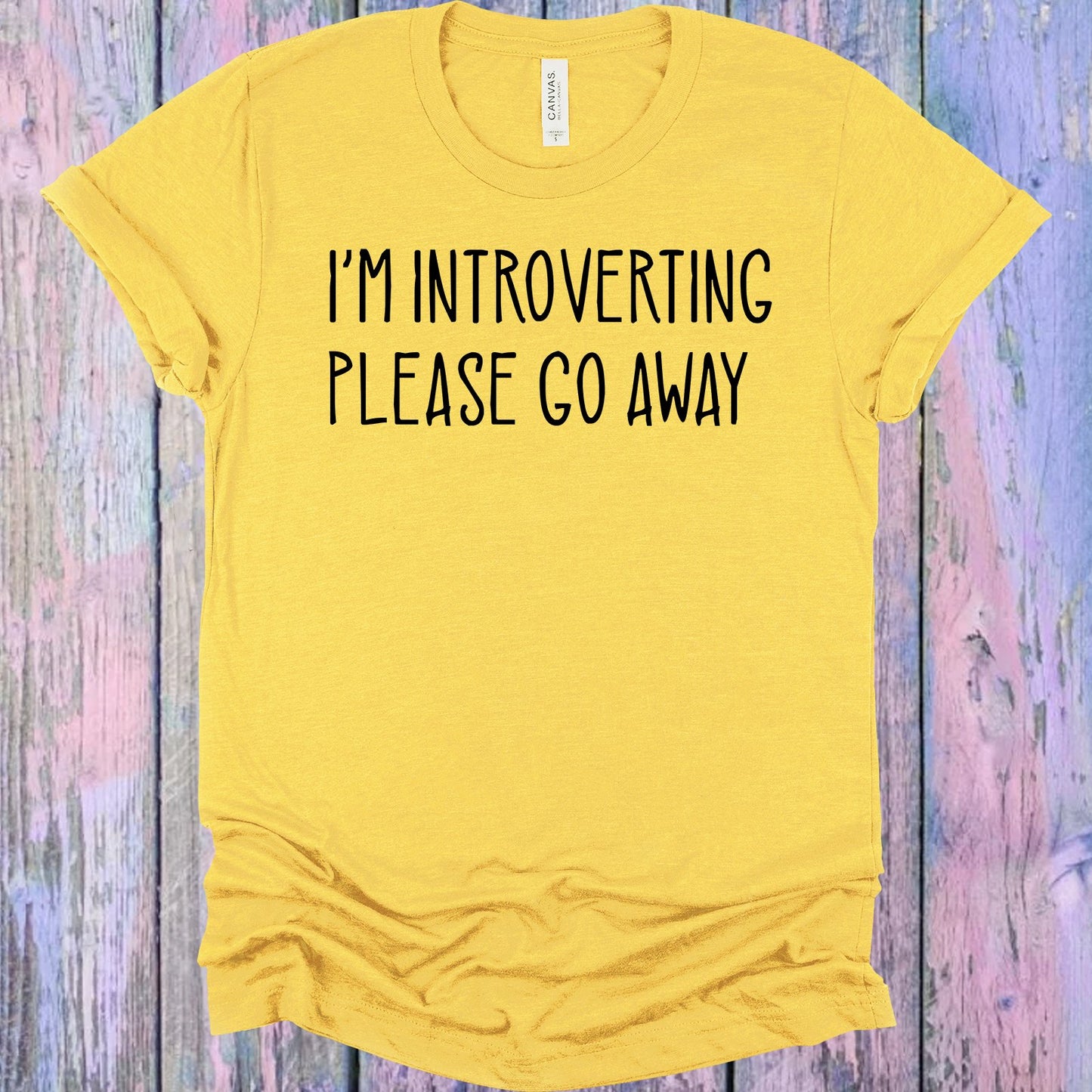 Introverting Please Go Away Graphic Tee Graphic Tee