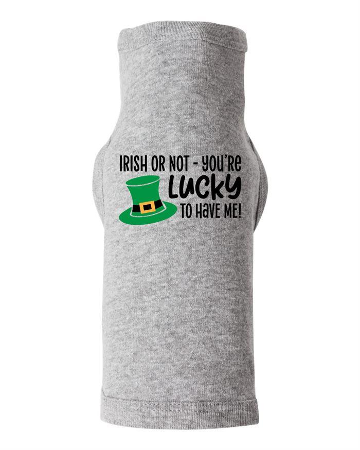 Irish Or Not Youre Lucky To Have Me Dog Shirt