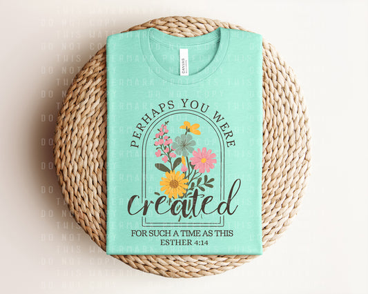 Perhaps You Were Created for Such a Time as This Graphic Tee
