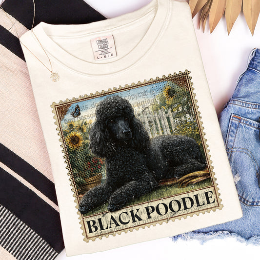 Black Poodle Graphic Tee