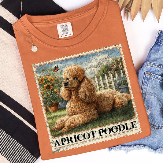 Apricot Poodle Graphic Tee