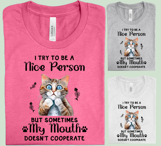 I Try to Be a Nice Person Graphic Tee