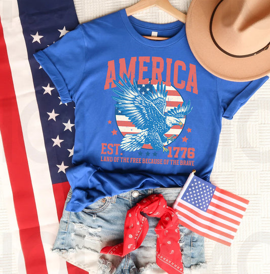 America Graphic Tee