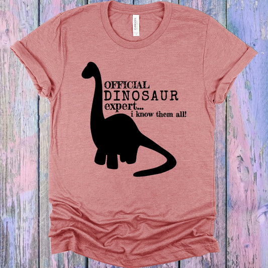 Official Dinosaur Expert Graphic Tee Graphic Tee