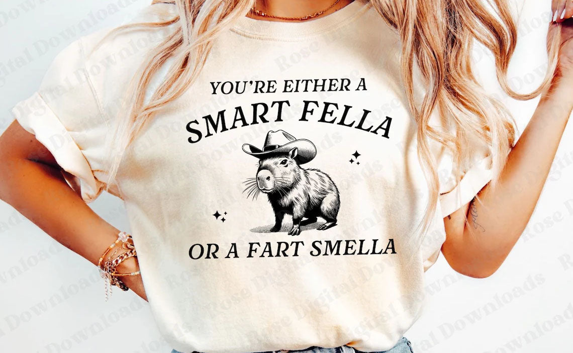 You're Either a Smart Fella or a Fart Smella Graphic Tee