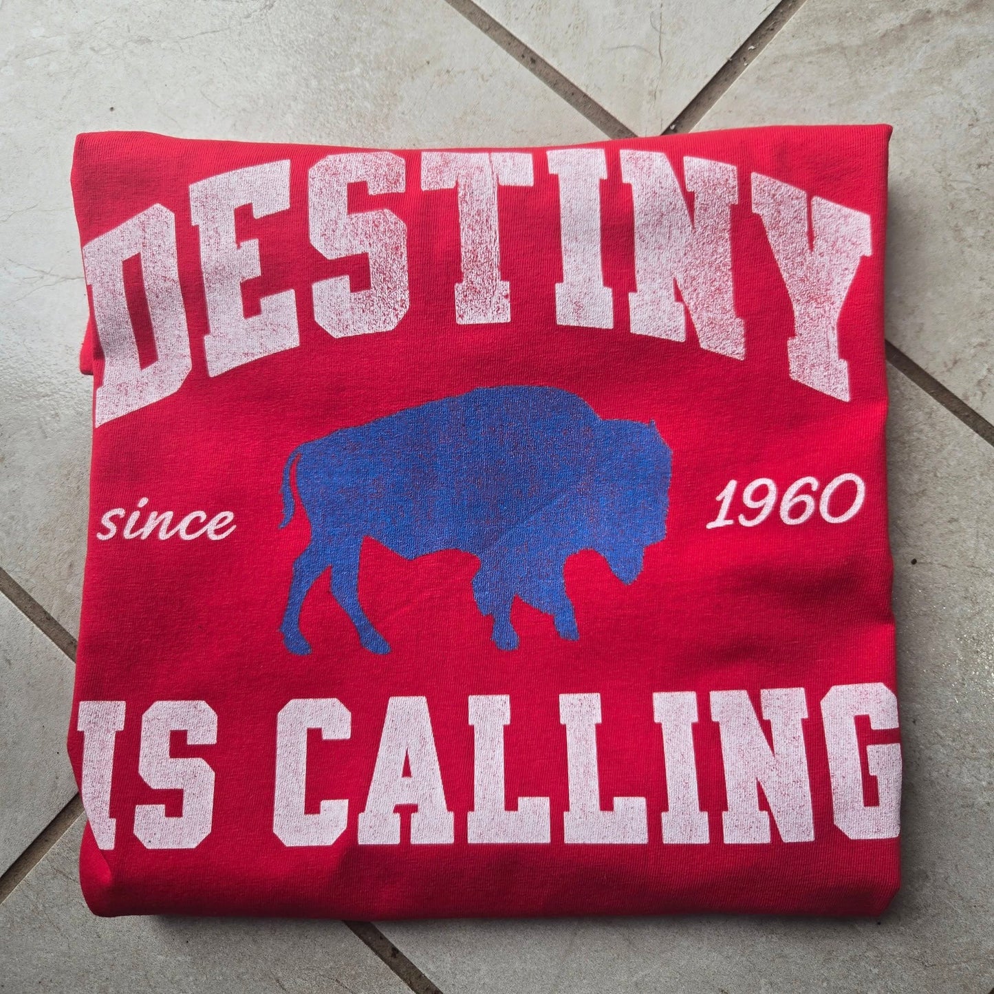 Destiny is Calling Graphic Tee