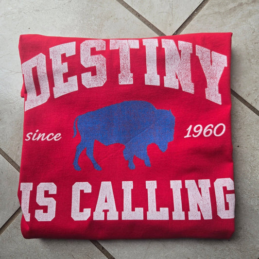Destiny is Calling Graphic Tee