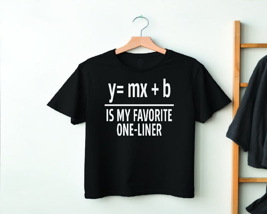 Y=MX+B Graphic Tee