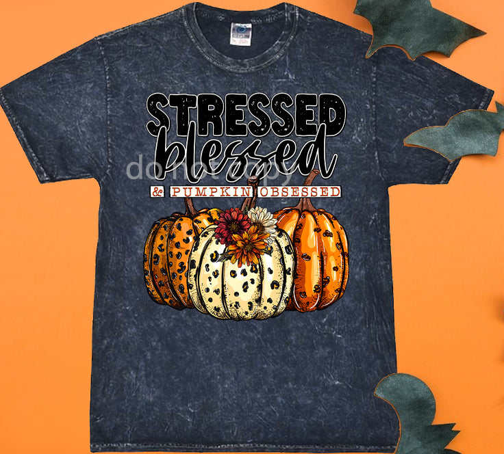 Stressed Blessed & Pumpkin Obsessed Graphic Tee