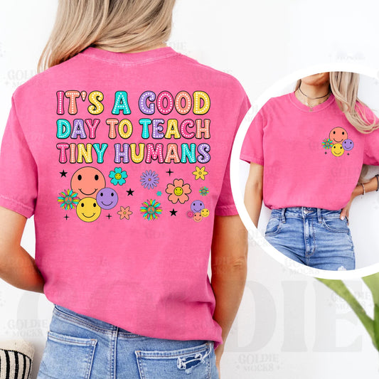 It's a Good Day to Teach Tiny Humans Graphic Tee