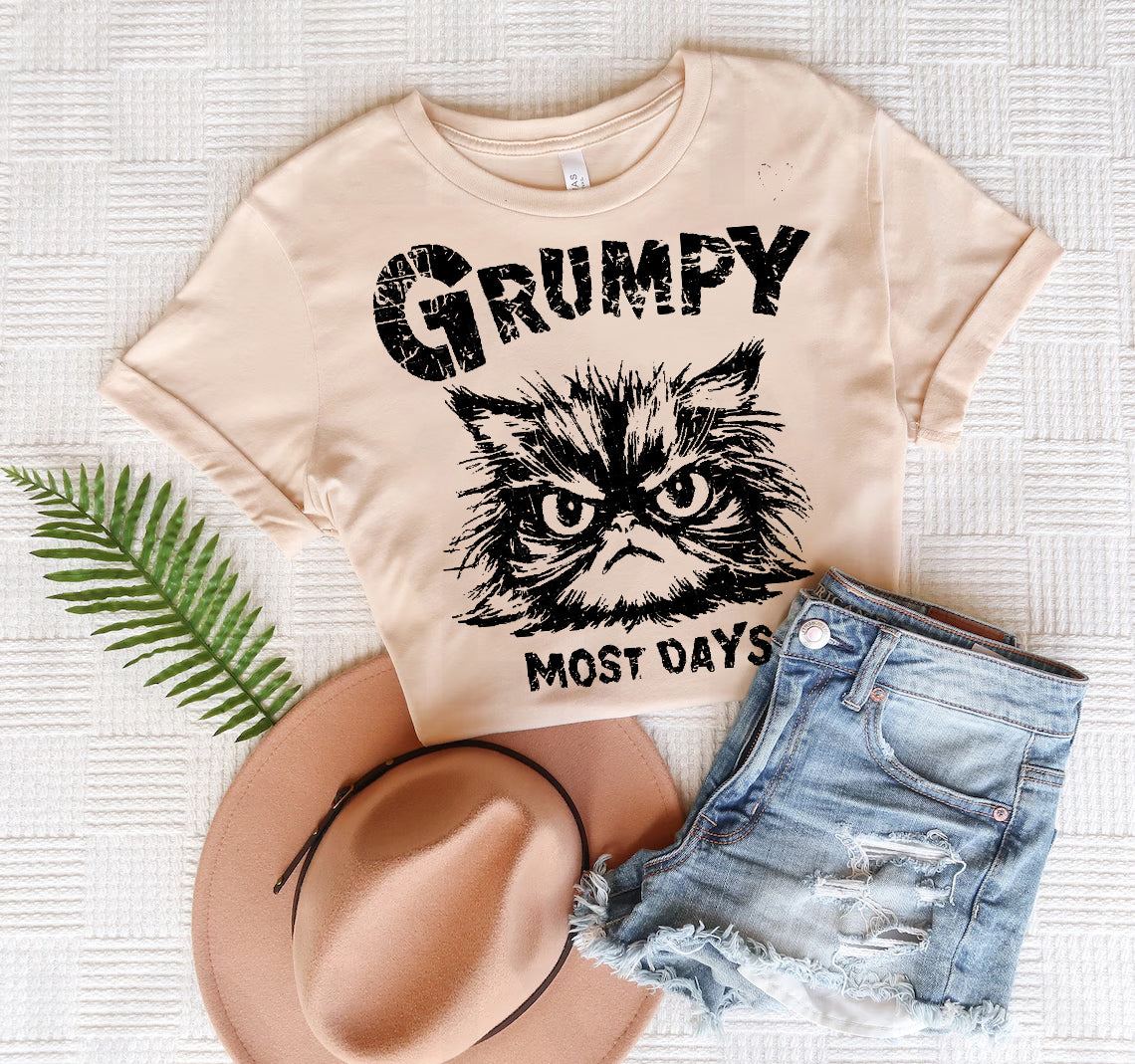 Grumpy Most Days Graphic Tee