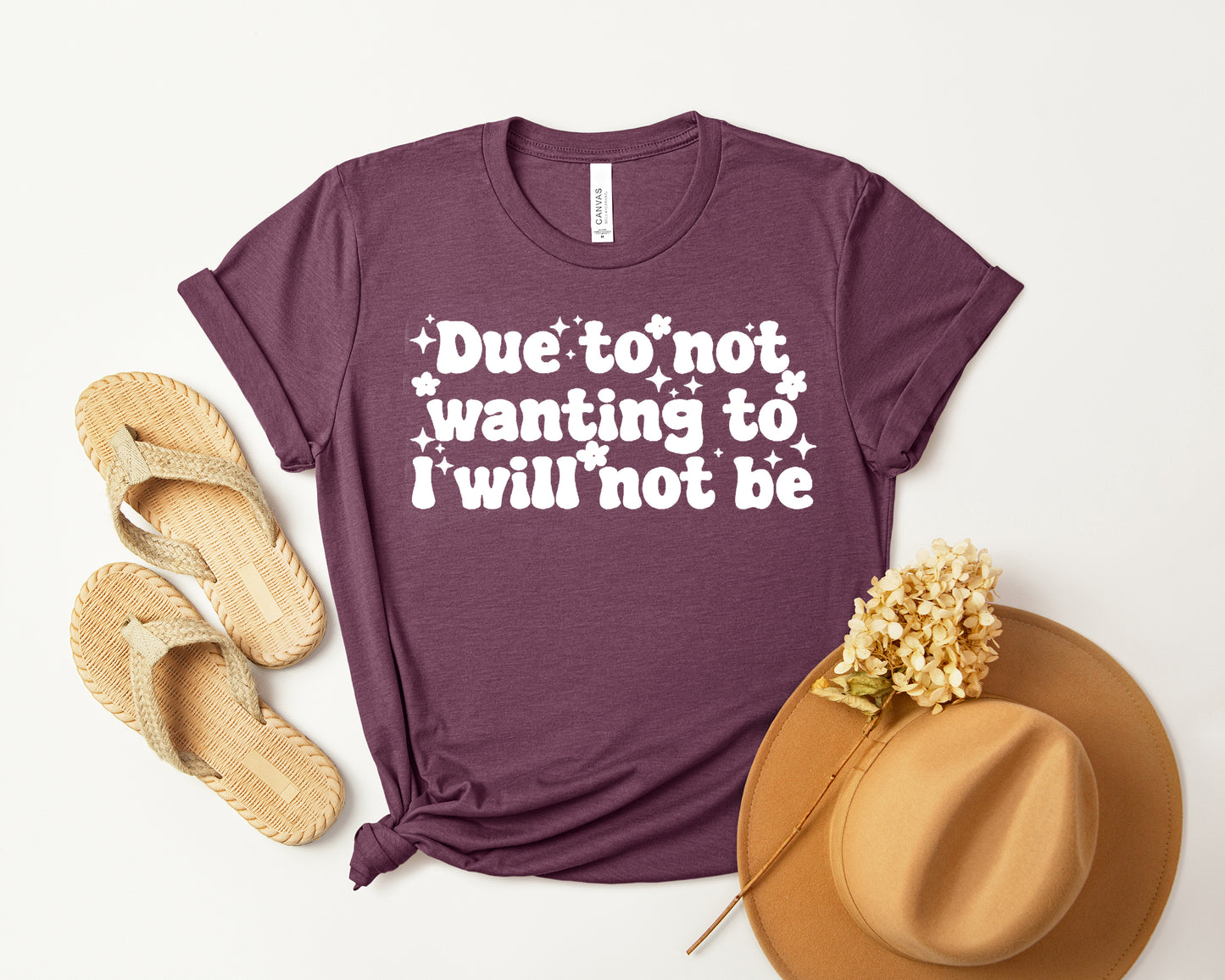 Due to Not Wanting to I Will Not Be Graphic Tee