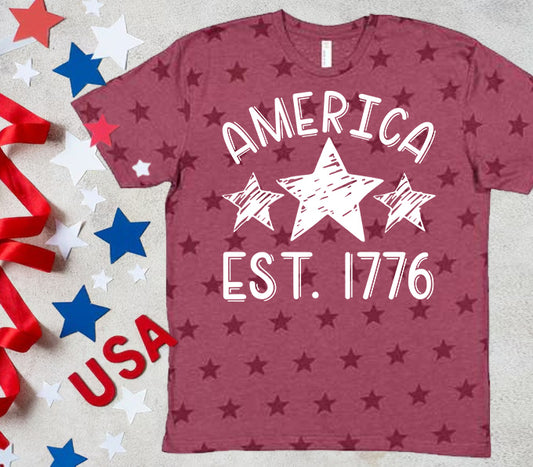 America Est. 1776 Graphic Tee