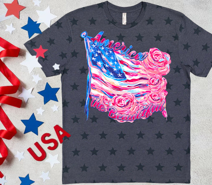 America the Beautiful Graphic Tee