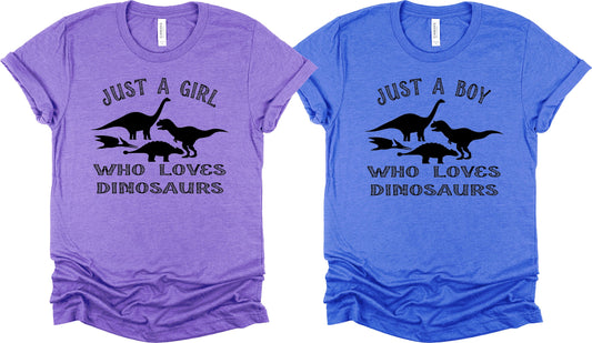 Just A Boy Who Loves Dinosaurs Graphic Tee Graphic Tee