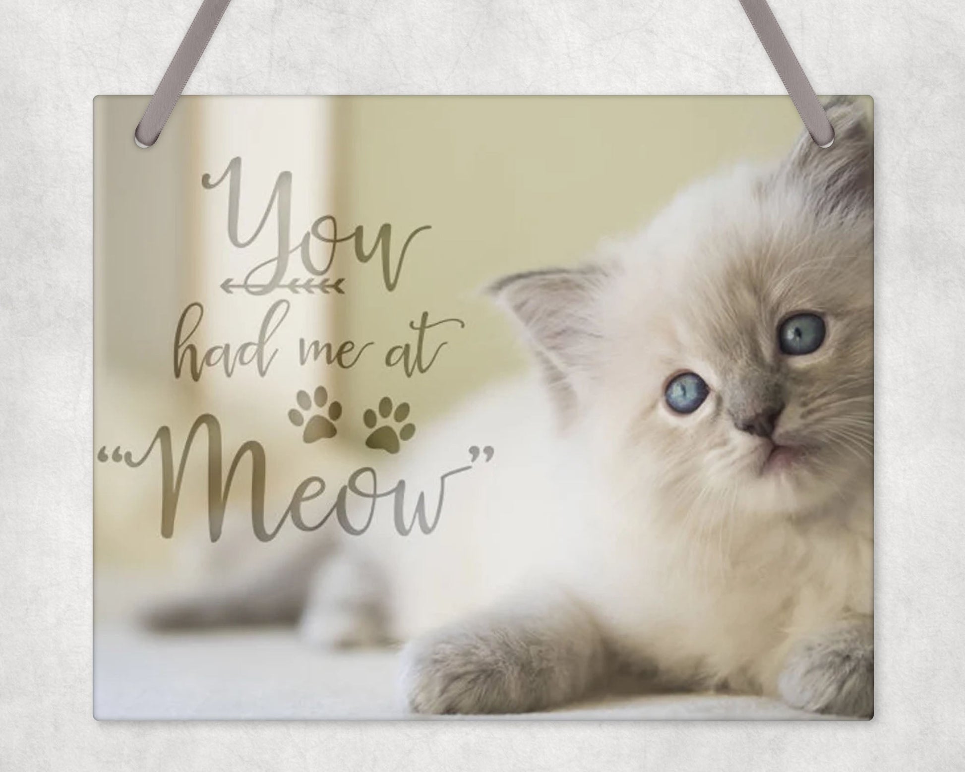 You Had Me At Meow Wall Sign Hanging