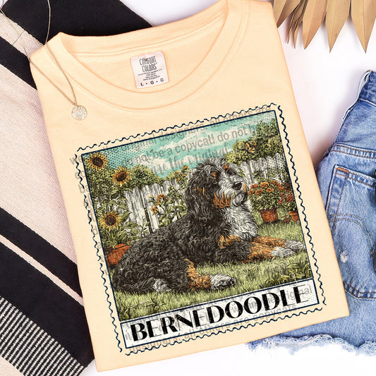 Bernedoodle Graphic Tee